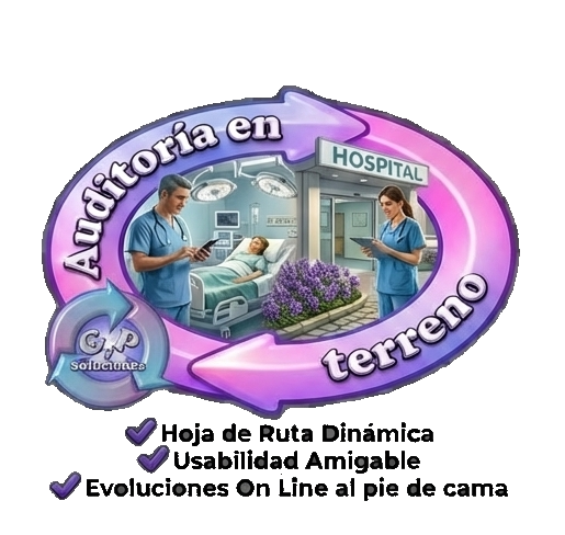 Logo Auditoría en Terreno